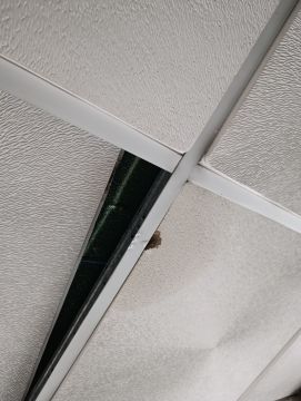Roof Installation or Replacement