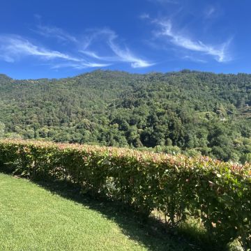 Serviços da Serra - Terras de Bouro - Tejados