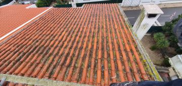 Molinas Construções - Oeiras - Jardinagem