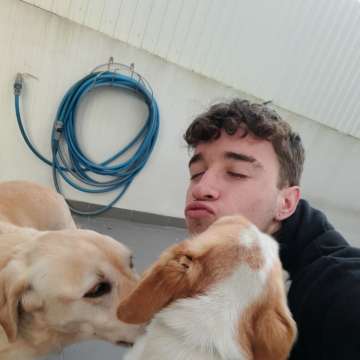 Miguel Martins - Seixal - Hotel de Animais de Estimação