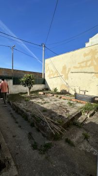 Gardening