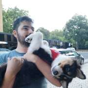 David Vilar - Lisboa - Creche para Cães