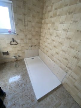 Araujo - Gondomar - Poda e Manutenção de Árvores