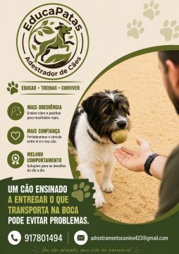 EducaPatas - Setúbal - Dog Training