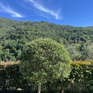 Serviços da Serra - Terras de Bouro - Reparación o mantenimiento de saunas
