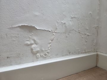 Pintor de Interiores