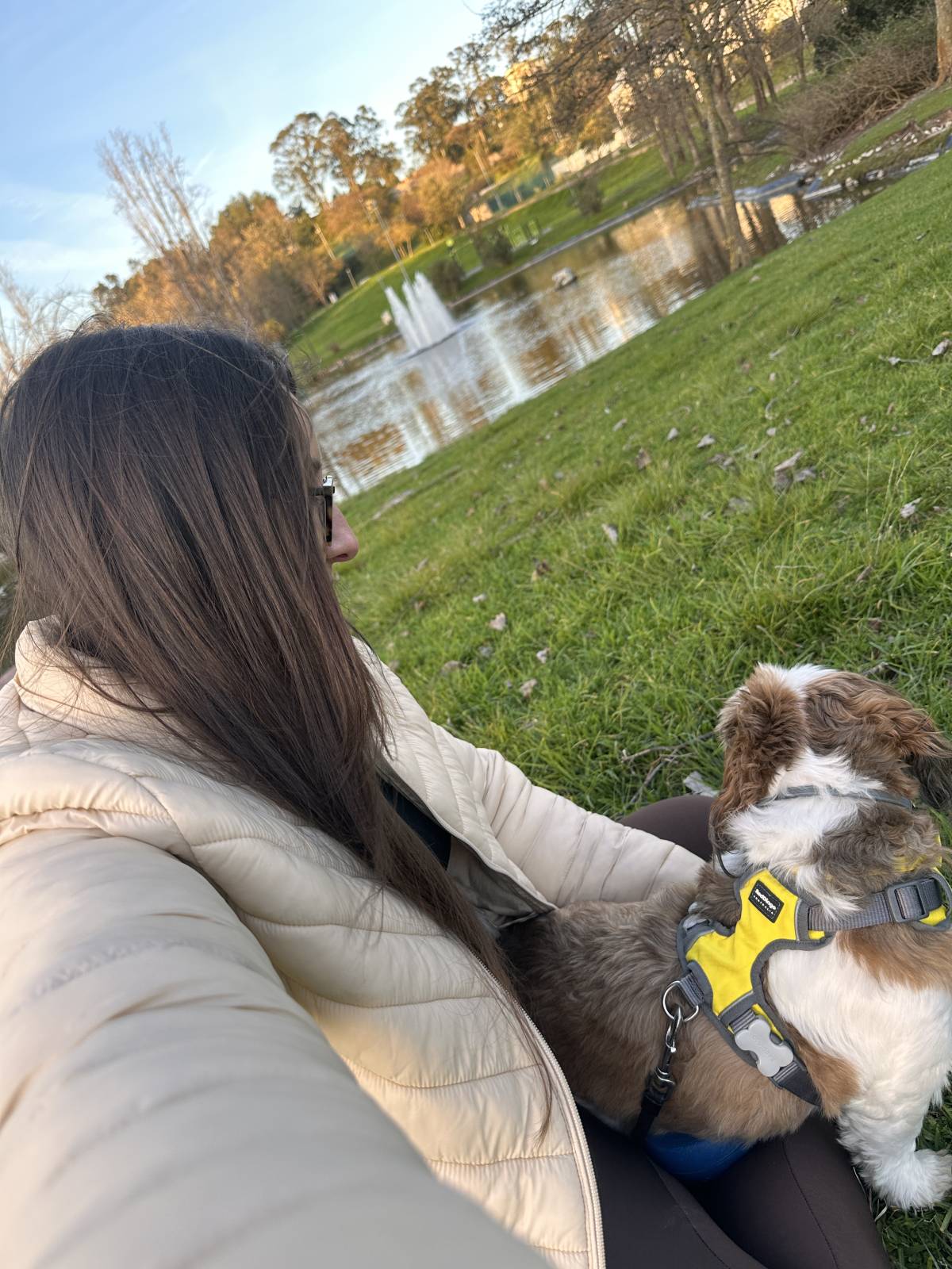 PamPet's - Barreiro - Guardería para perros