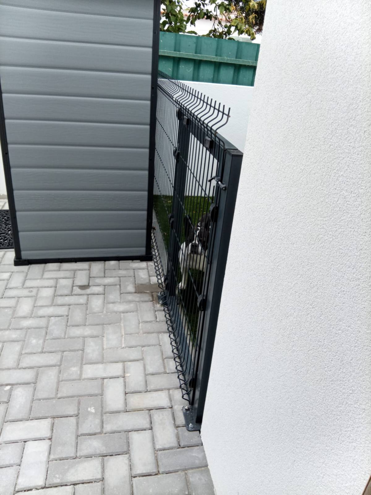 FerriCriativo - Setúbal - Katzenklappe einbauen