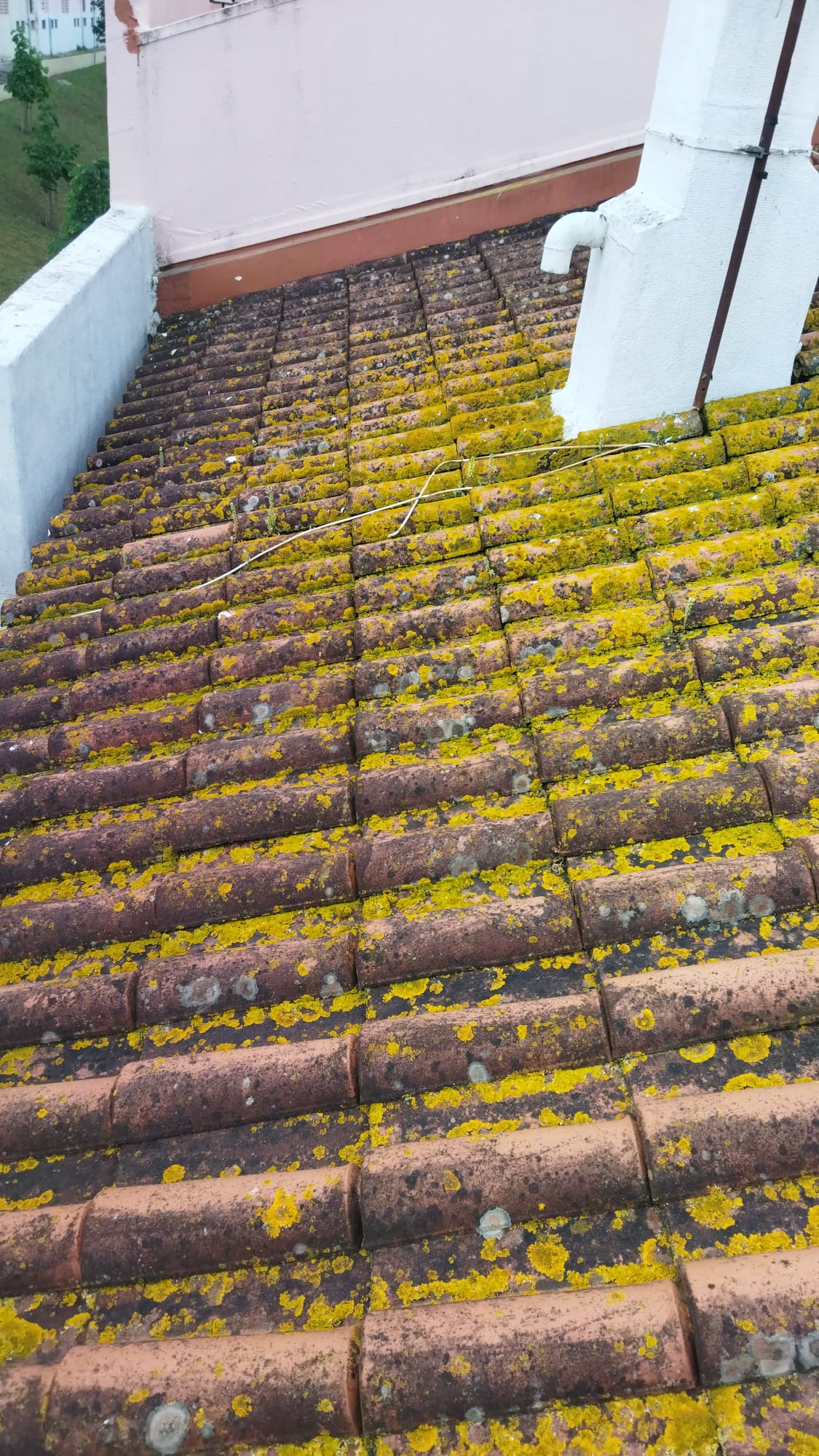 Desentupimentos 10 - Loures - Chimney Cleaning