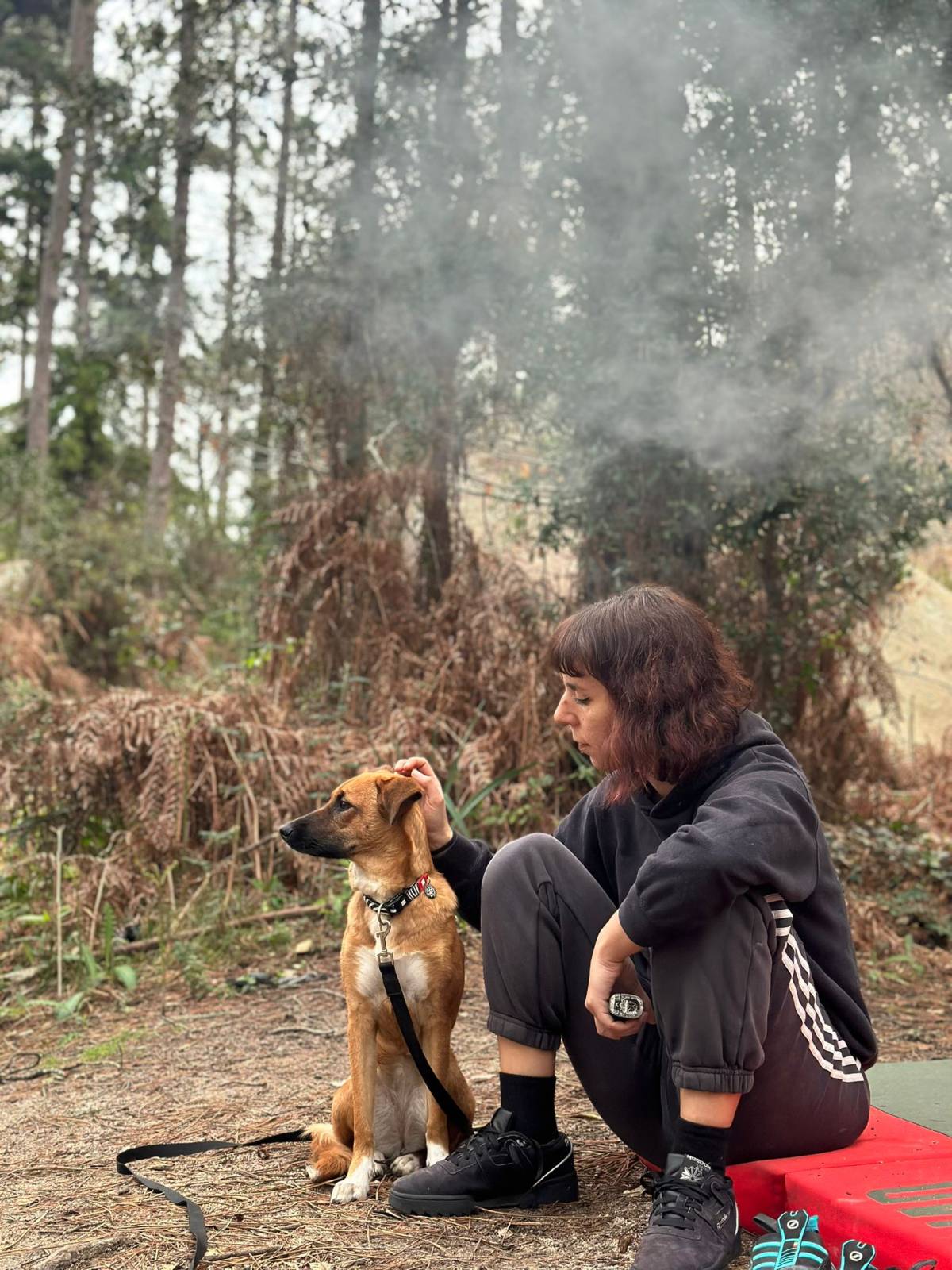 Sara Bernardo - Caminha - Hundeausführung