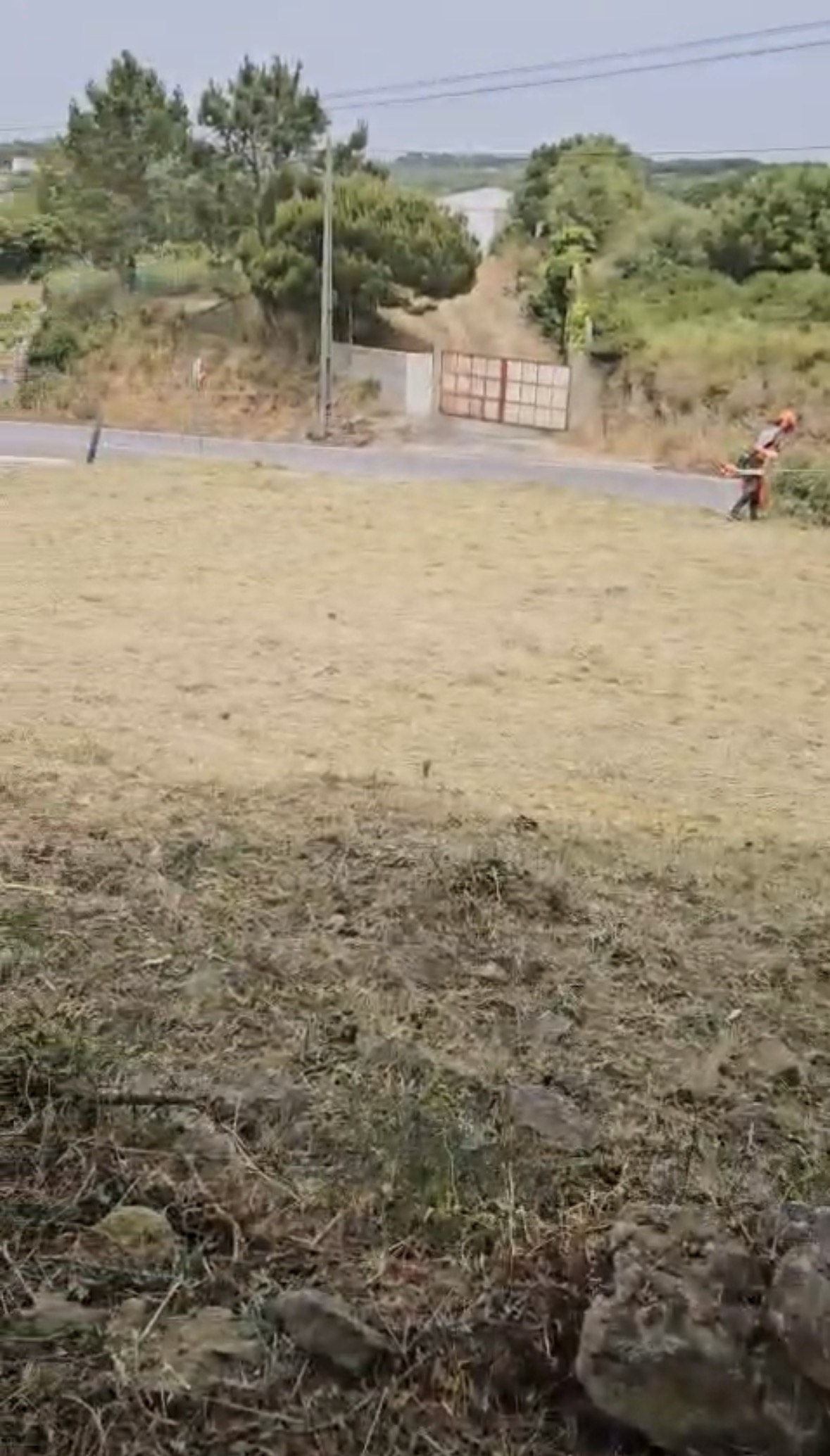 CleanGarden Pro - Sintra - Lawn Mowing and Trimming