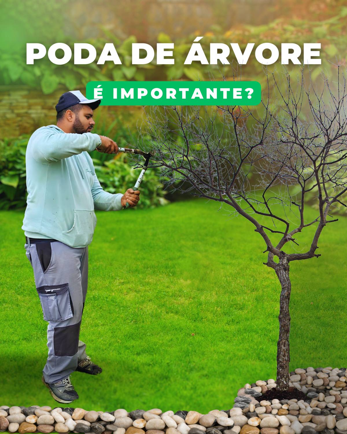 Impulse Mkt Digital - Torres Vedras - Google Ads Manager