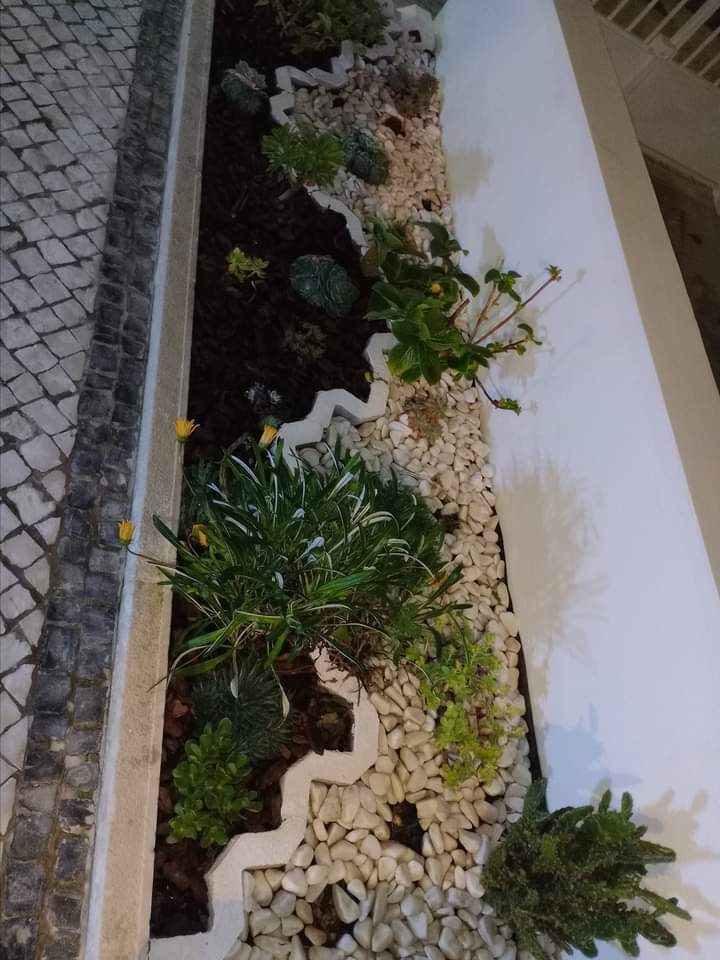 Filipe Oliveira - Alcobaça - Limpeza de Janelas