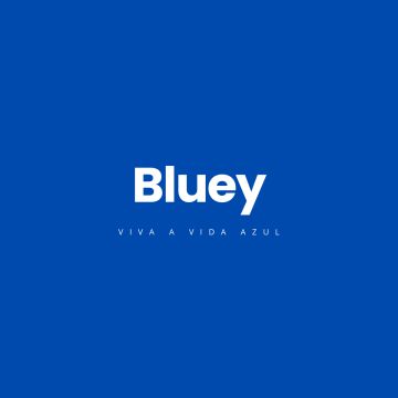 Bluey Agency - Porto - Präsentationen
