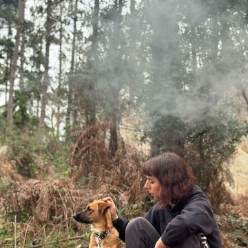 Sara Bernardo - Caminha - Hundeausführung