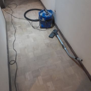 Trabalhos do Zé - Montemor-o-Velho - Tree Stump Grinding and Removal