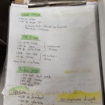 Cati - Almeirim - Organizador del hogar