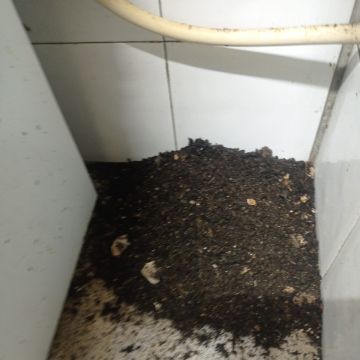 Desentupimentos 10 - Loures - Limpeza e Manutenção de Calhas