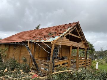 Carpinteiro (Reparação de Corrimão)
