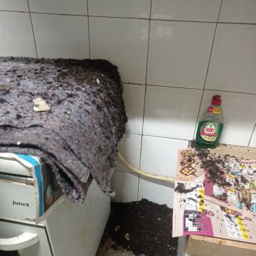 Desentupimentos 10 - Loures - Limpeza de Telhado