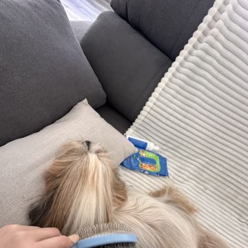 PamPet's - Barreiro - Cuidar tus mascotas