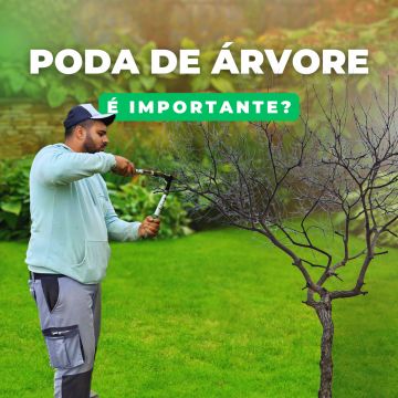 Impulse Mkt Digital - Torres Vedras - Google Ads Manager