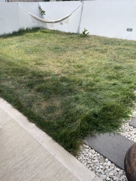Artificial Turf Specialist