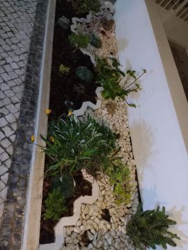 Filipe Oliveira - Alcobaça - Limpeza de Janelas