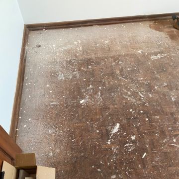 Gil - Montijo - Dachreinigung