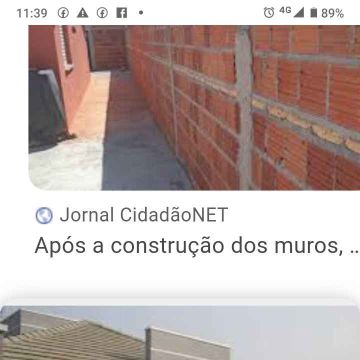 Adriano serviço geral - Azambuja - Poda y mantenimiento de árboles