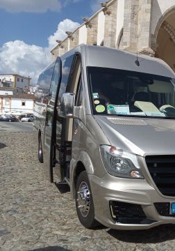 Motorista Autocarros Frelancer - Torres Vedras - Mini Bus Charter