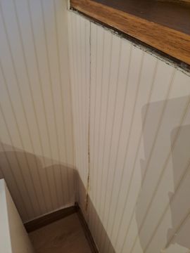 Tapete ausbessern oder reparieren