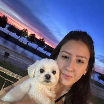 PamPet's - Barreiro - Paseador de perros