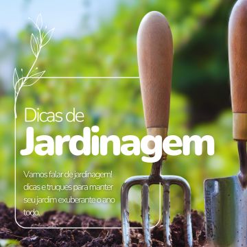 Impulse Mkt Digital - Torres Vedras - Digital Marketing