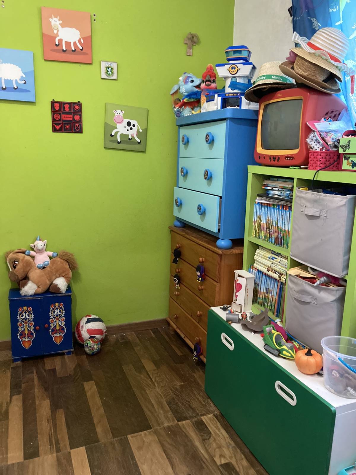 Ana Reboca - Personal Organizer - Cascais - Home Organizing