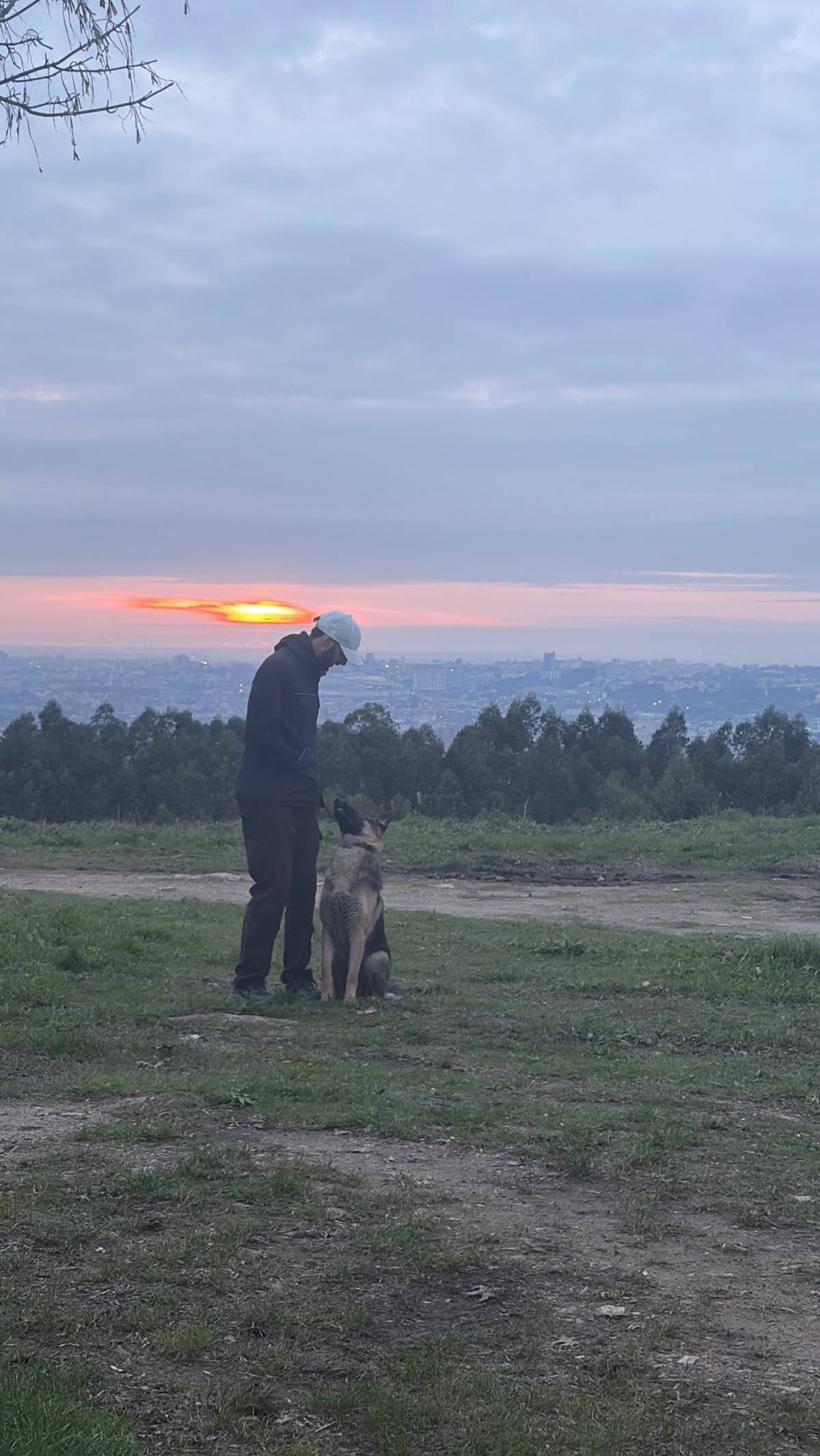 Red Guard k9 - Valongo - Dog Training - Private Lessons