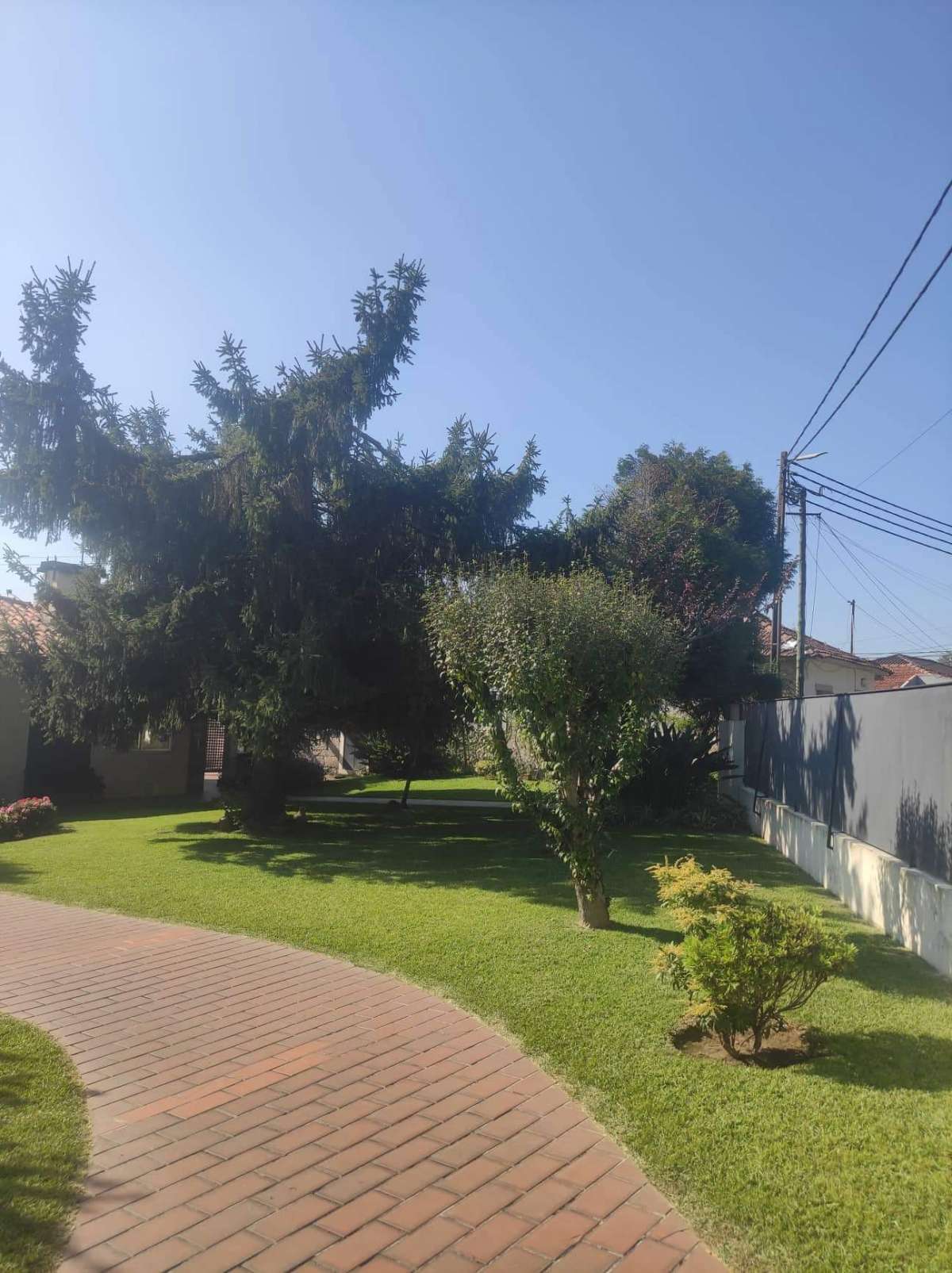 Hugo - Vila Nova de Gaia - Jardinagem