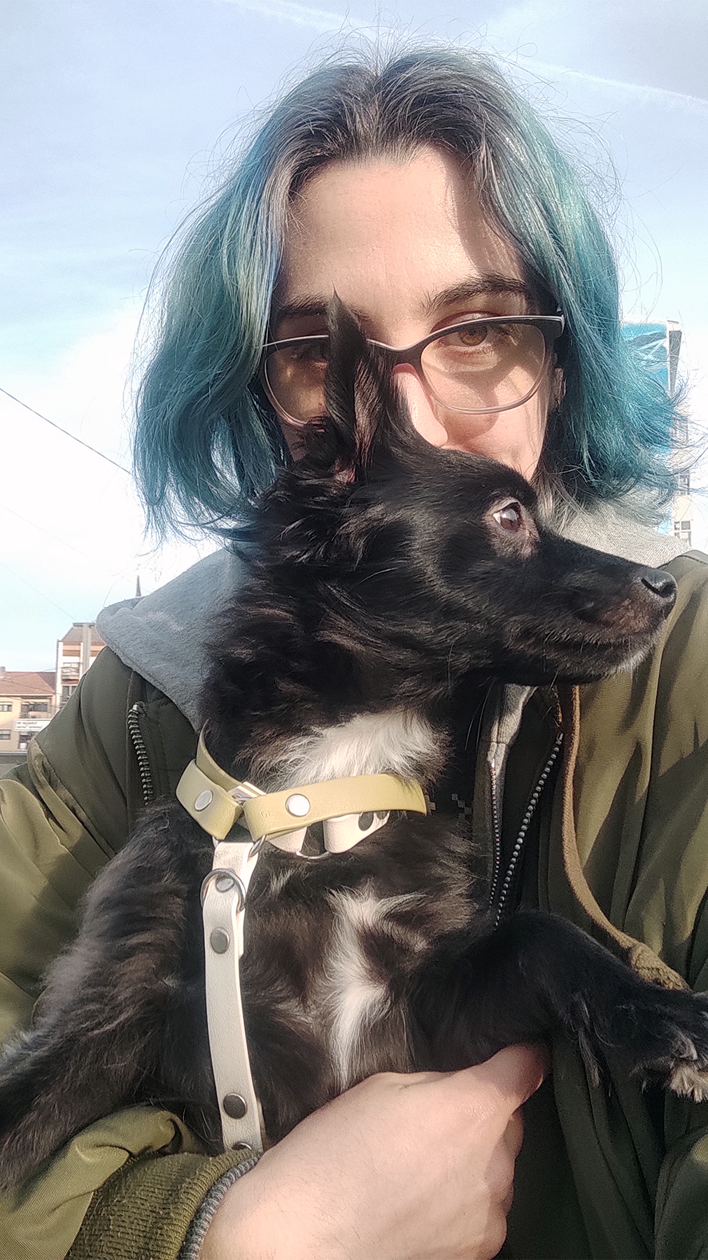 Patricia Costa - Vila Nova de Gaia - Baths and Grooming for Animals