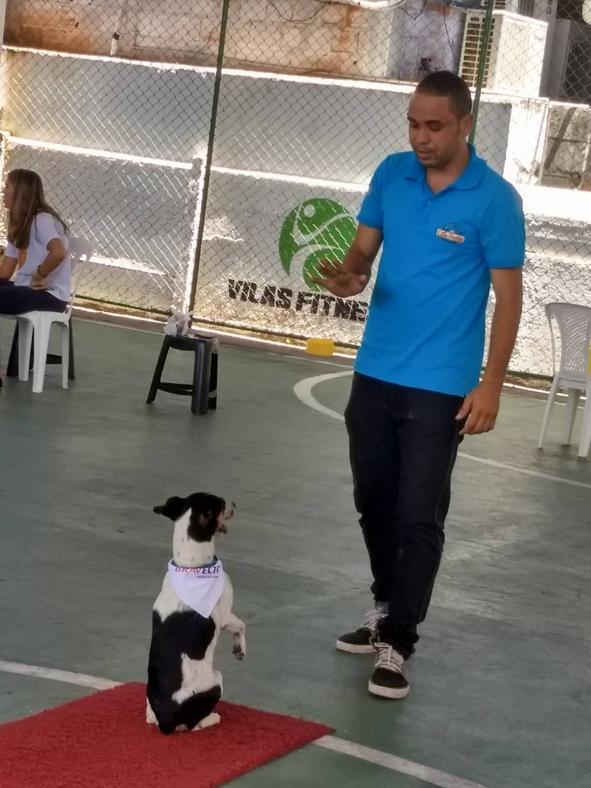 Antônio Neto - Seia - Treino de Cães - Aulas
