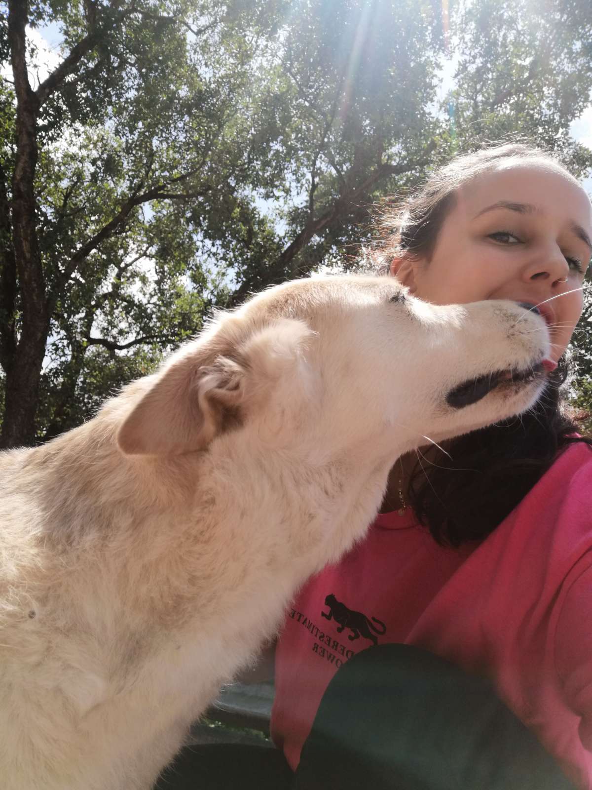 Vitória Galvão - Coimbra - Services pour animaux de compagnie