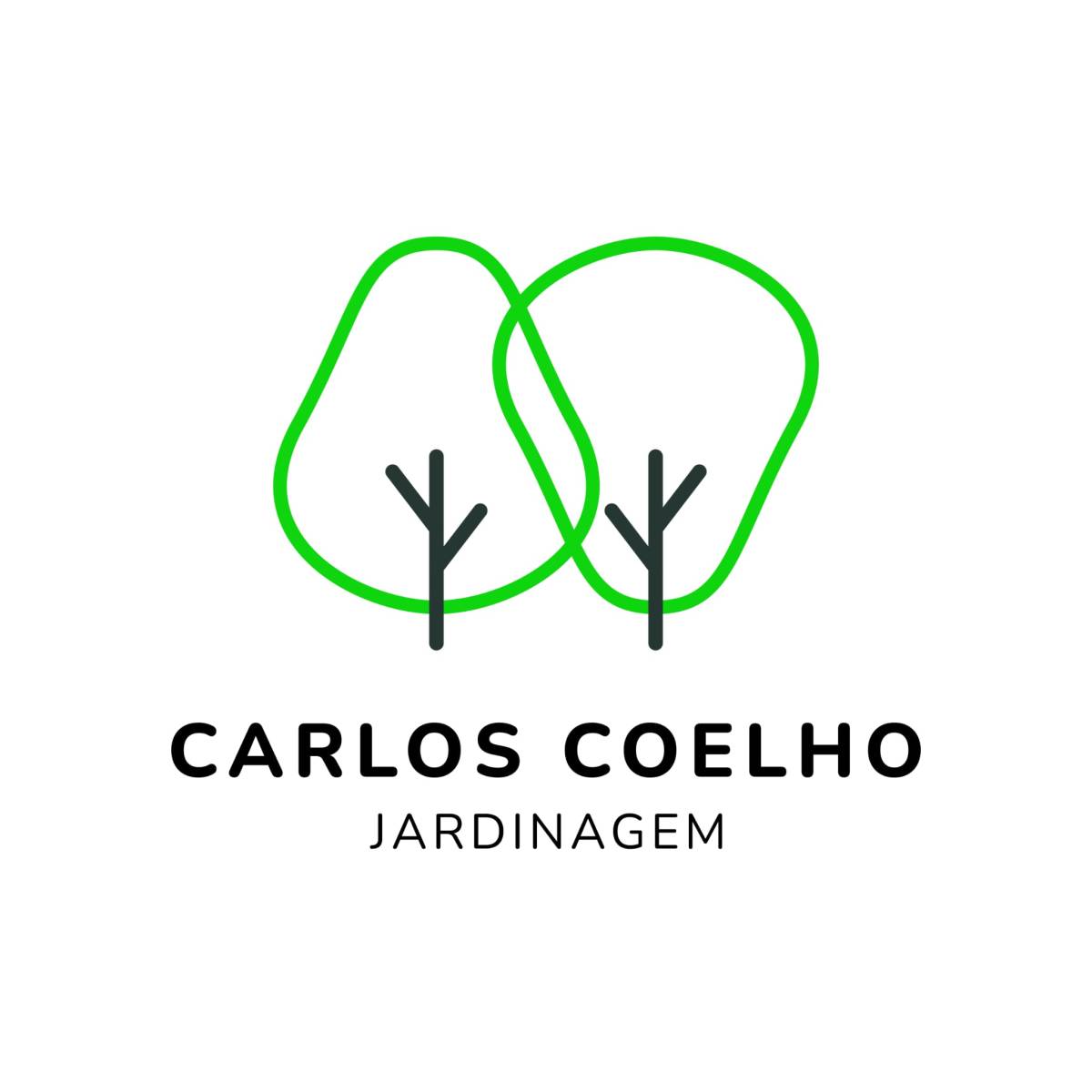 Carlos Coelho - Sintra - Remoção de Arbustos