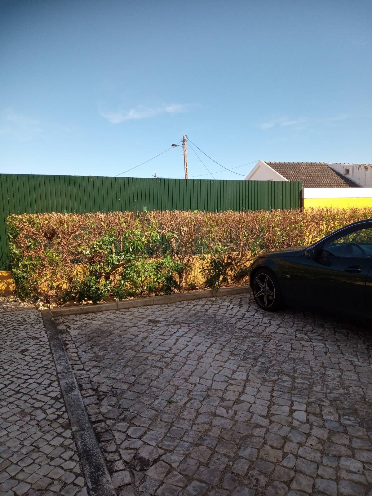 Luiz Wagner - Jardinagem - Amadora - Remoção de Tronco de Árvore
