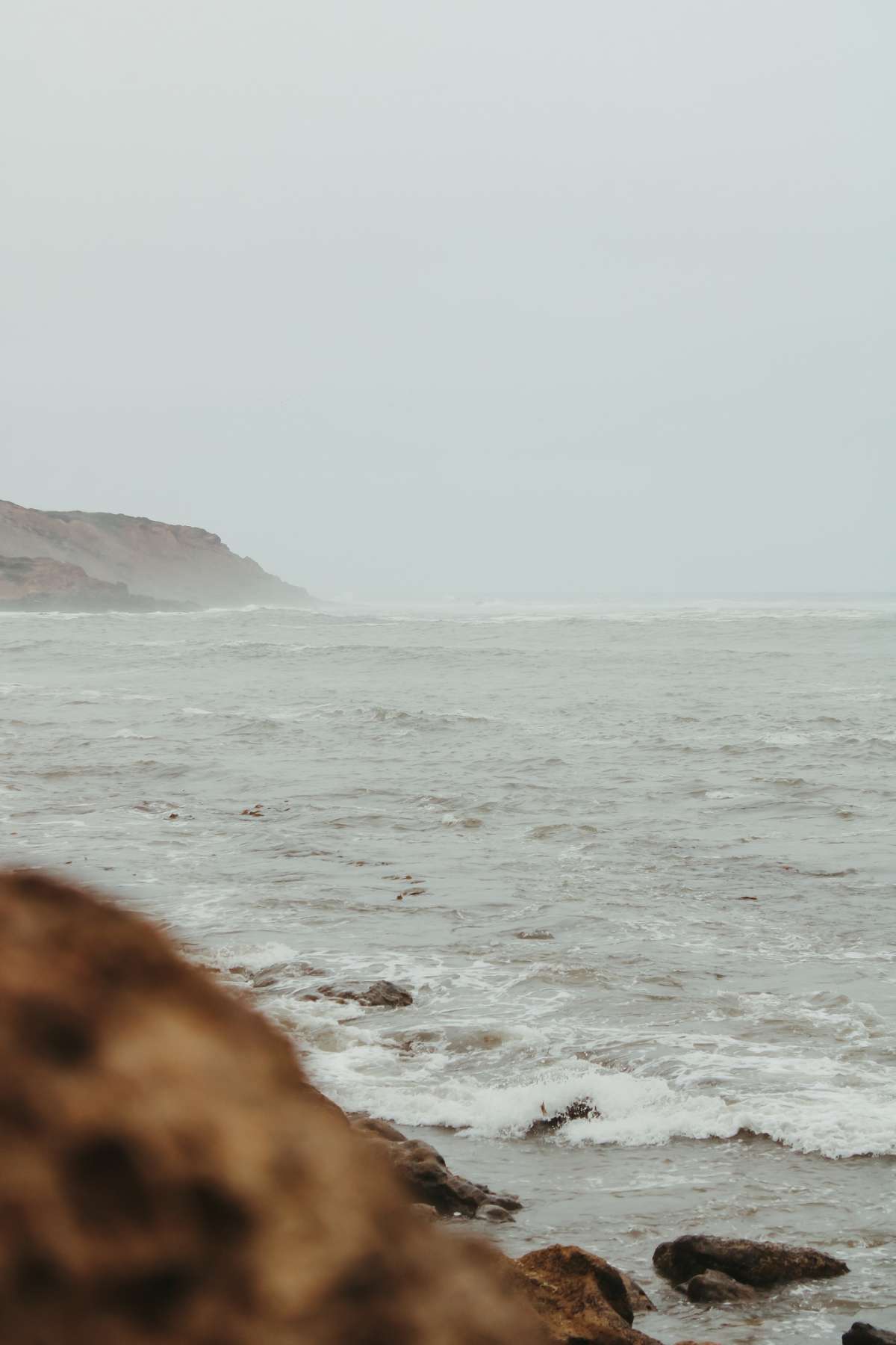 Rita Ribeiro - Matosinhos - Fotografia