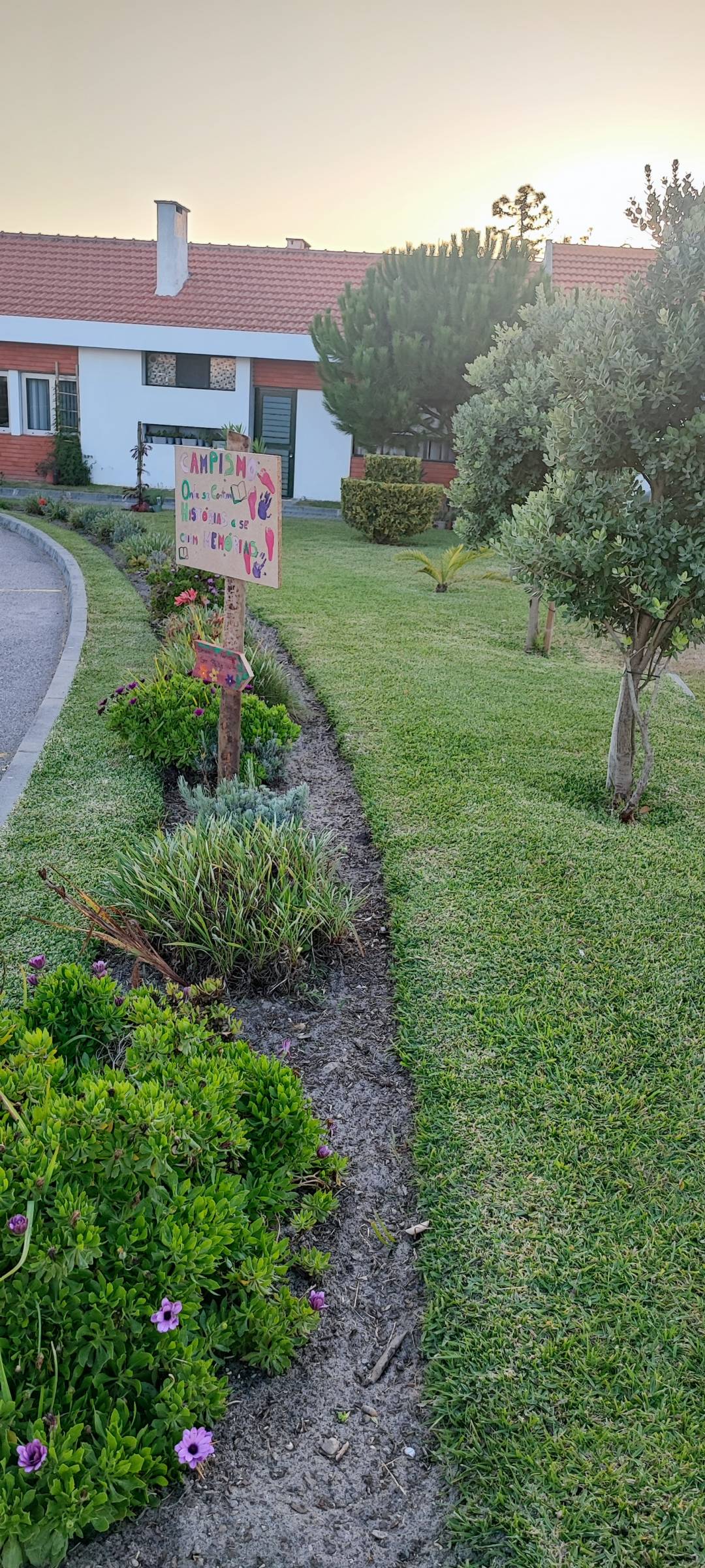 O Algarvio Manutenção de Jardins - Figueira da Foz - Shrub Removal
