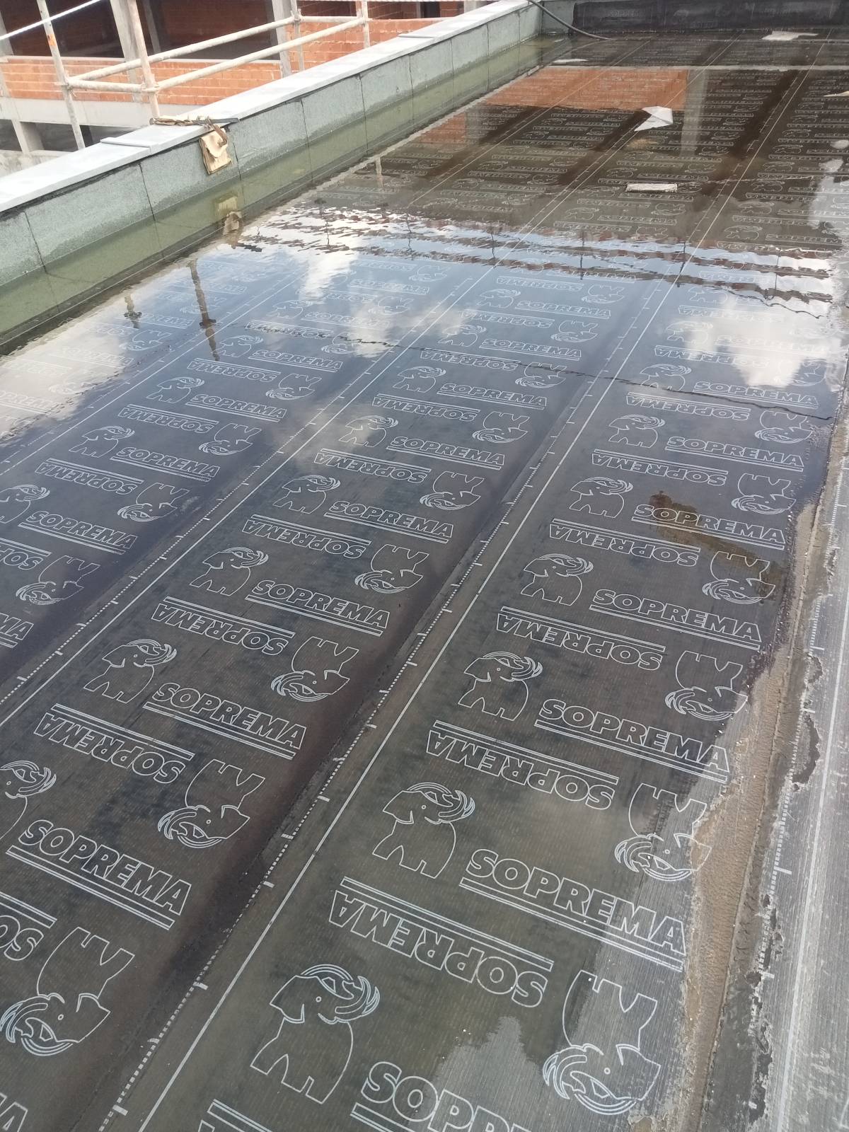 Domingos Silva - Loures - Roof Cleaning