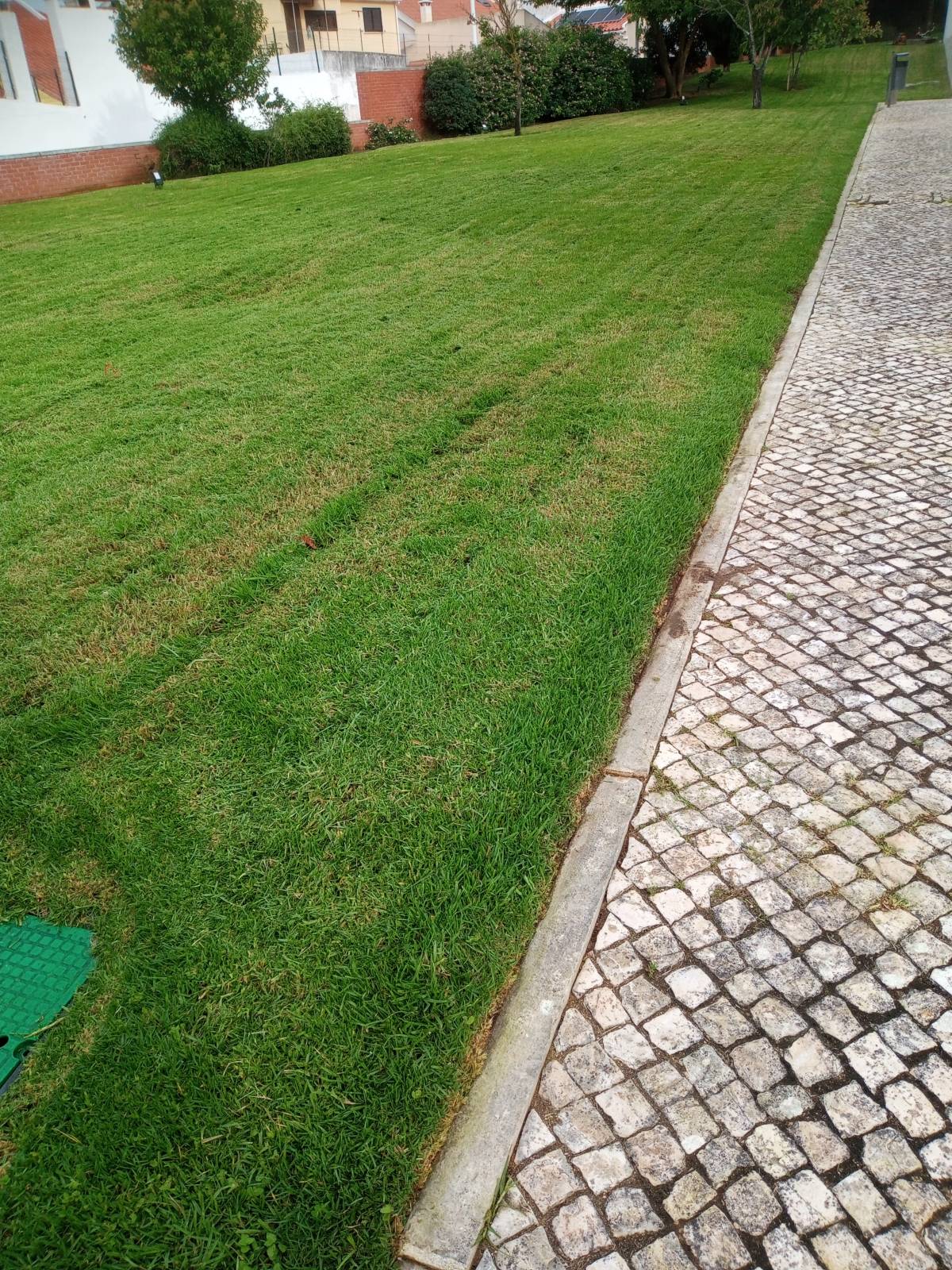 Luiz Wagner - Jardinagem - Amadora - Poda e Manutenção de Árvores