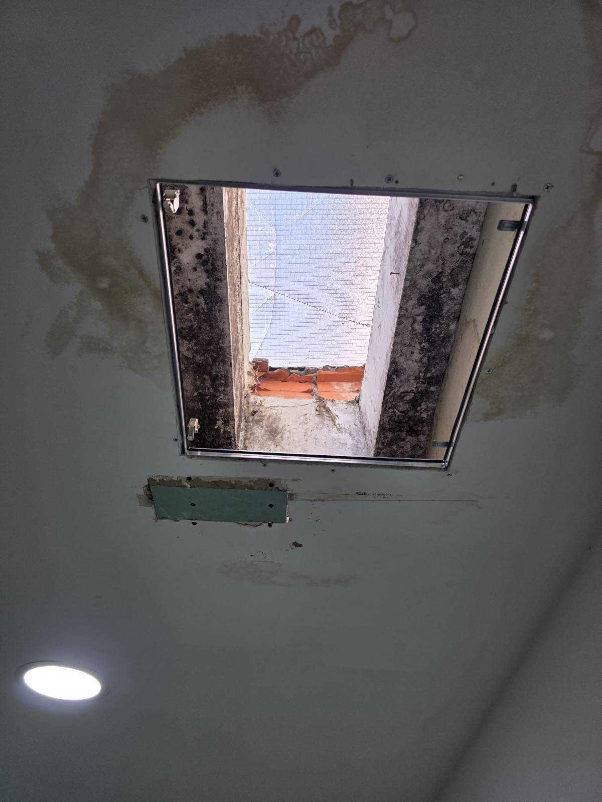 Vps pinturas e remodelação - Gondomar - Bathroom Tiling