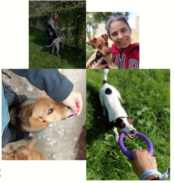 Cãoão - Oeiras - Dog Sitting