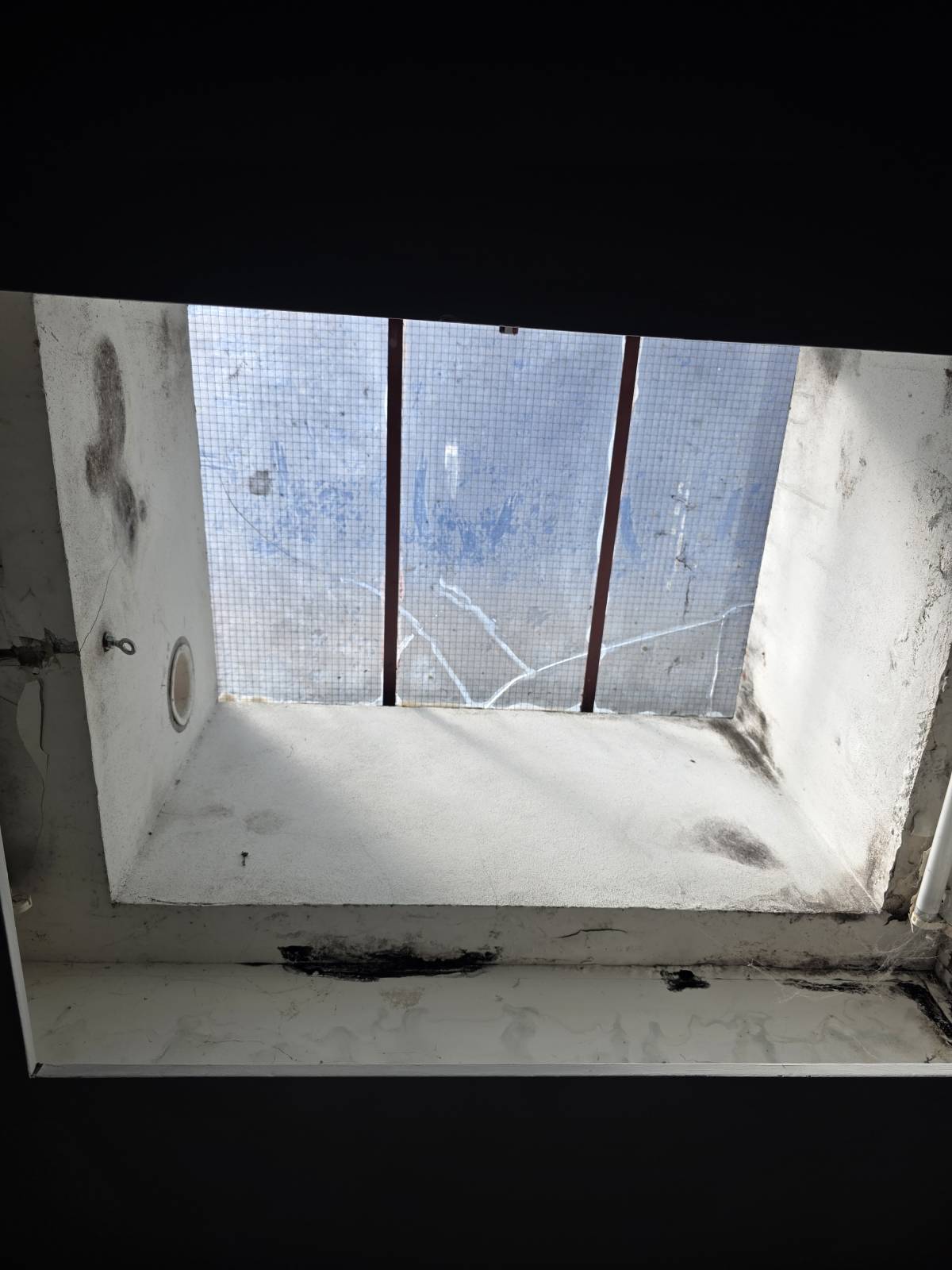 Vps pinturas e remodelação - Gondomar - Tile Repair