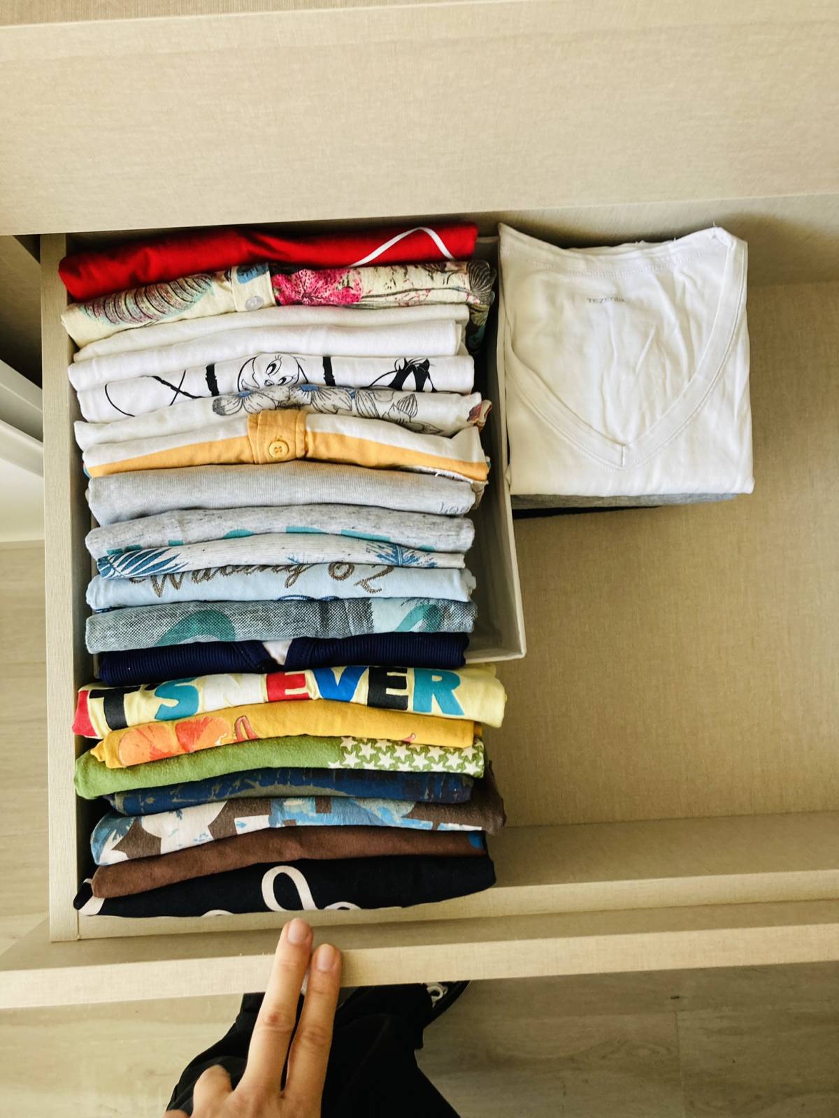 Ana Reboca - Personal Organizer - Cascais - Home Organization